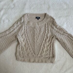 Express Textured Knit Sweater in Beige